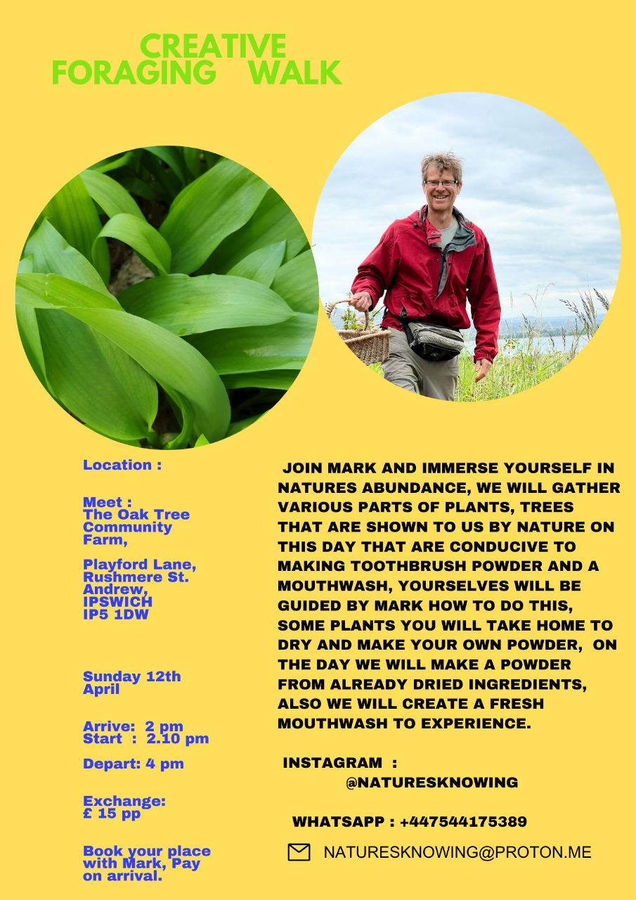 Creative Foraging Walk 12th April - The Oak Tree Community Farm